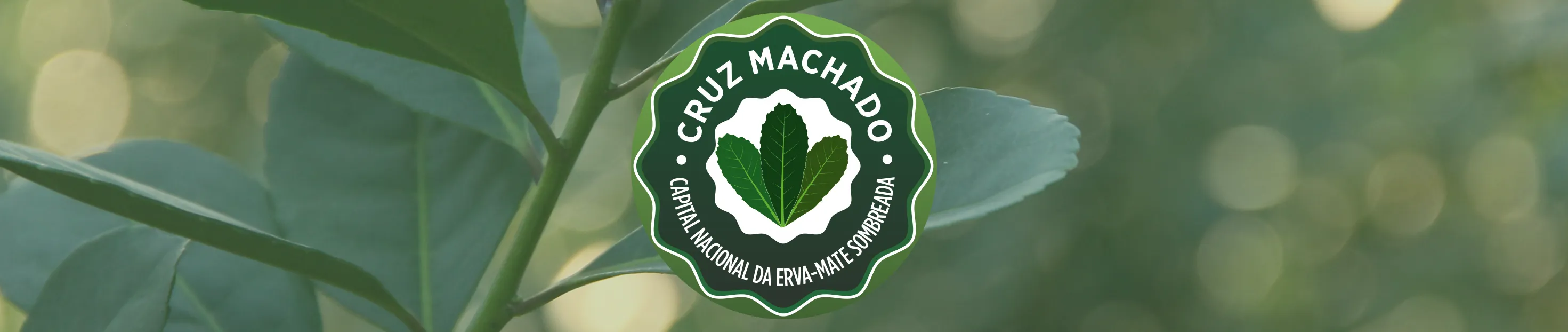 Capital da Erva-mate Sombreada