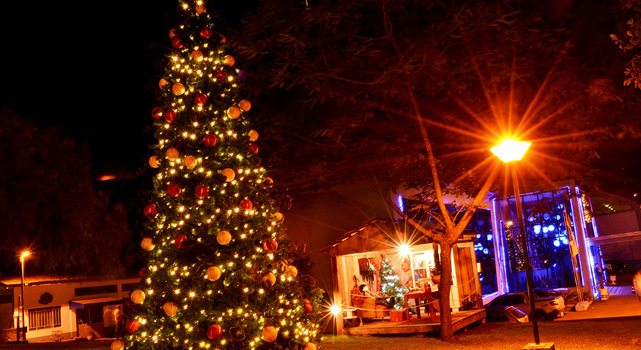 Confira as fotos da decoração de natal na Praça da Prefeitura de Cruz Machado