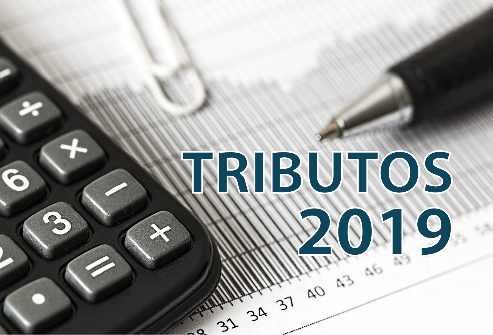 Tributos 2019: Confira datas e atualizações