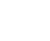 Ícone