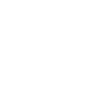 Ícone